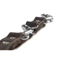 Clearance vidaXL Beeztees Hundkoppel läder t 200x1,2 cm 736401 Brun