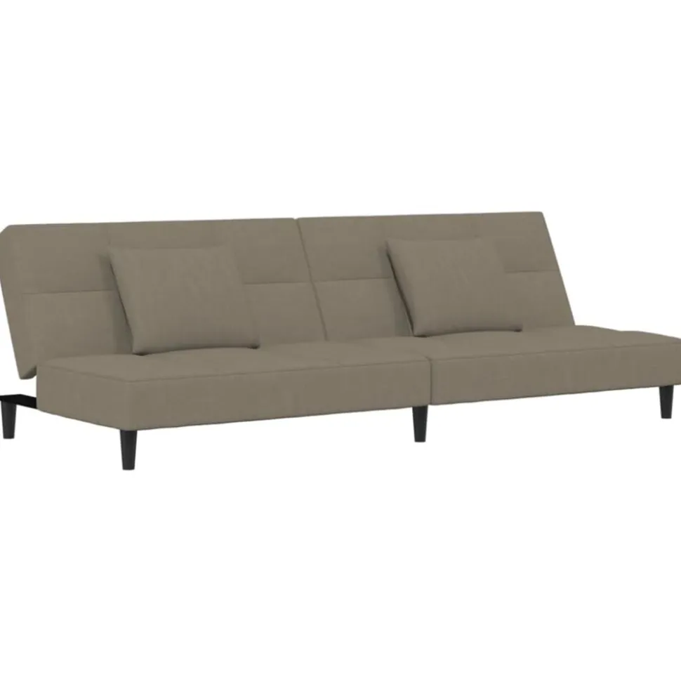 vidaXL Bäddsoffa 2-sits med två kuddar ljusgrå sammet