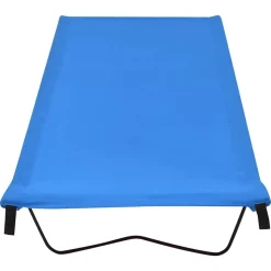 vidaXL Campingsäng 180x60x19 cm oxfordtyg och stål blå