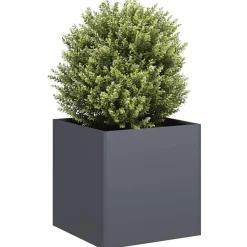 vidaXL Odlingslåda 40x40x40 cm kallvalsat stål Antracit