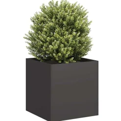 Discount vidaXL Odlingslåda 40x40x40 cm kallvalsat stål Svart