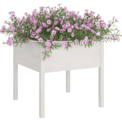 Online vidaXL Odlingslåda 70x70x70 cm massiv furu Vit
