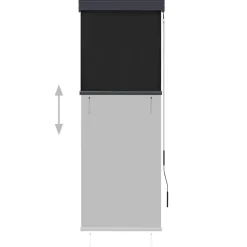 Online vidaXL Rullgardin utomhus 60x250 cm Antracit