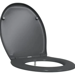 vidaXL Toalettstol Antracit 47 x 37 x 4 cm Duroplast