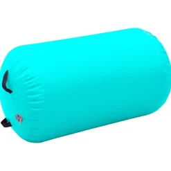 Sale vidaXL Uppblåsbar gymnastikrulle med pump 100x60 cm PVC Grön